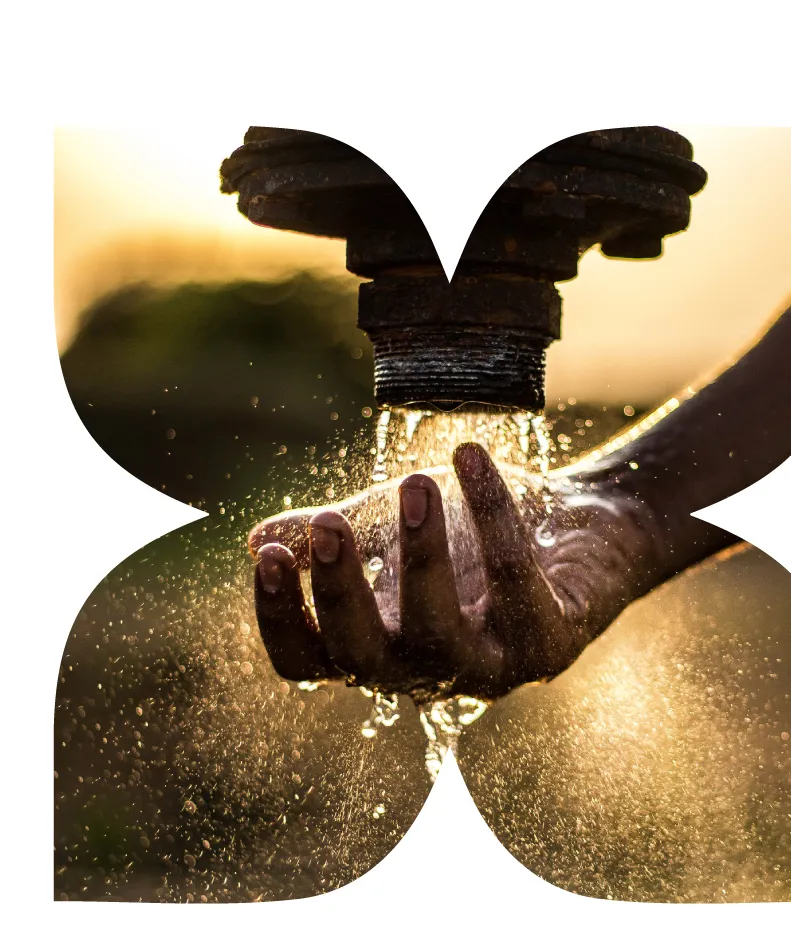 Key Sustainability Attributes